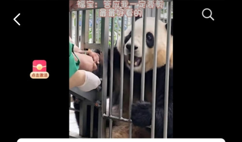 Screenshot 20240430 181957.jpg