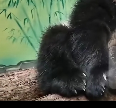 Screenshot 20240430 182437.jpg