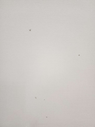 file.jpg