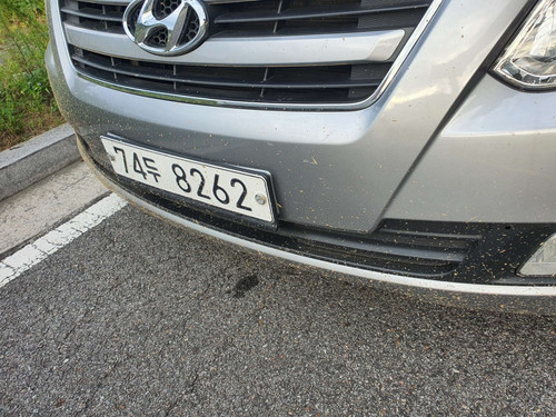 file.jpg