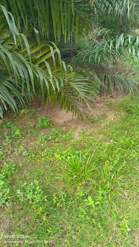 BUKIT KERDAS.jpg