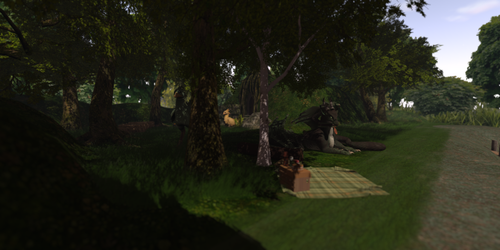 Home Parcel Forested Area Wide Angle 001.png