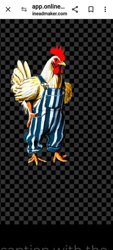 Screenshot 20240501 011930 Chrome.jpg