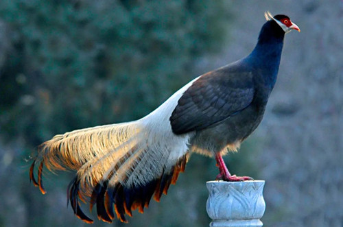 Screenshot 2024 05 01 16 15 05 240 mark.via edit.jpg