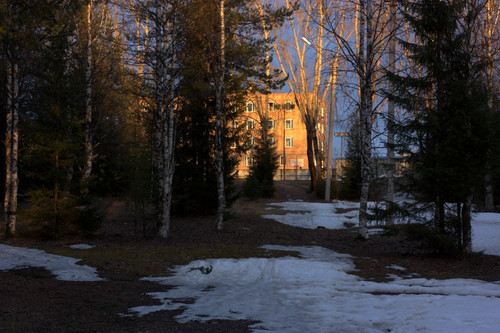 IMG 1305.jpg