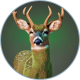 Cyparissa Leafed Stag.png