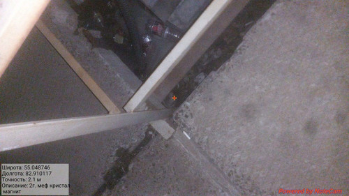 IMG 20240430 001210 394.jpg