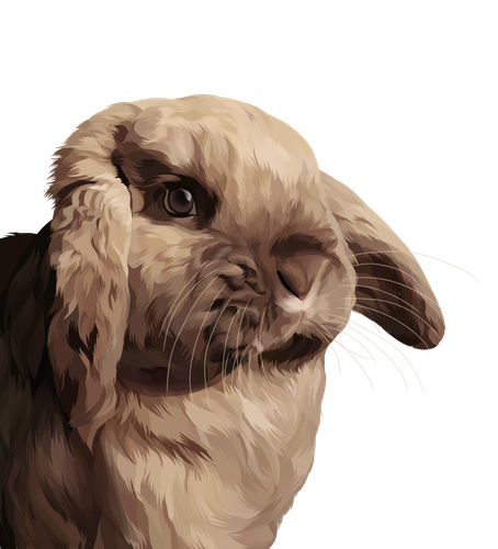 2E58DA1C 9ADA 432B A45D 2F1B10BF1101.png