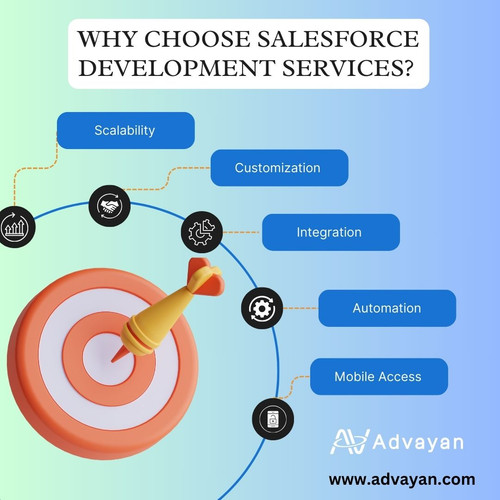 Why choose salesforce development services.jpg