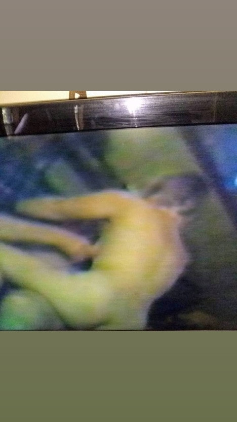 IMG 20221029 150936 919.jpg
