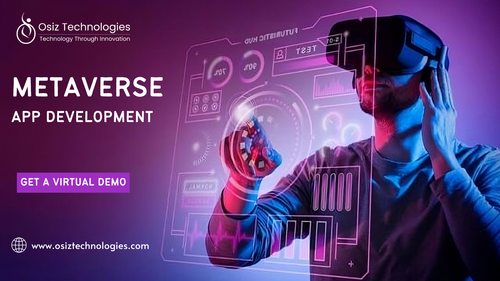 metaverseapp(osiz 29th april2024).png