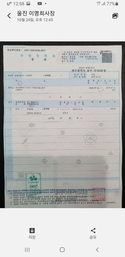 file.jpg