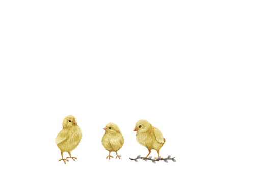 33.4.png