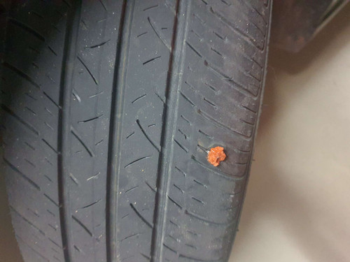 file.jpg
