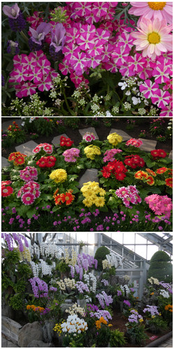 Lflower03.jpg