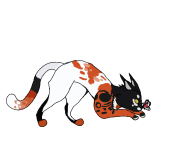 Без названия1301 20240503191443.png