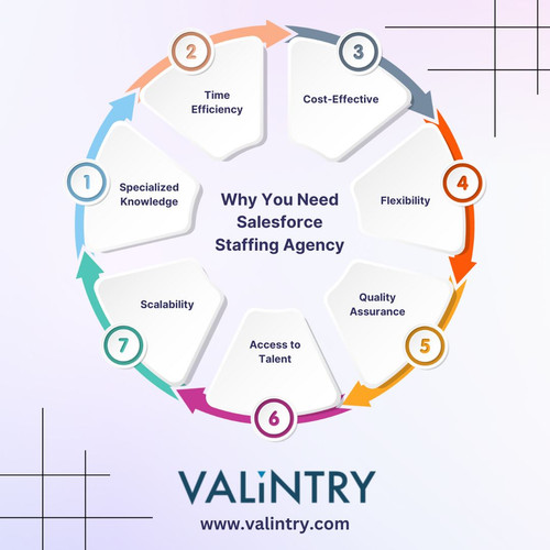 Why You Need Salesforce Staffing Agency.jpg