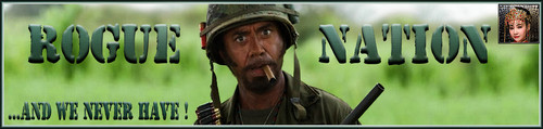 Tropic Banner.jpg