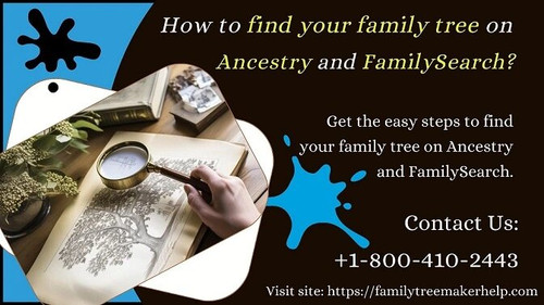 find your family tree.jpg