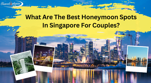 What Are The Best Honeymoon Spots In Singapore For Couples.png