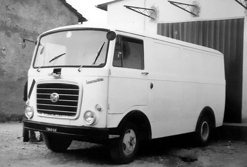 291086173 2881861852122436 4956806031556390937 n.jpg