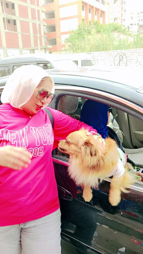 IMG 20240426 WA0003.jpg