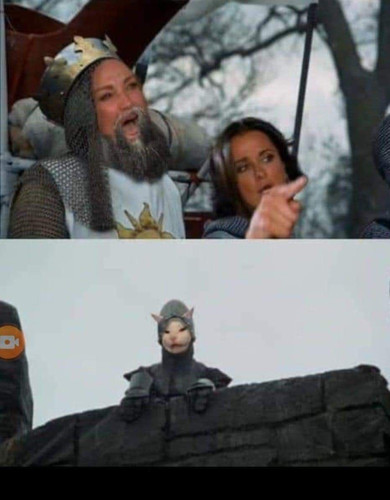 IMG 20240423 102446 523.jpg