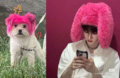 Camera XHS 17144678826561040g00831270hmko4o005oc0l0t0joujvsmq1no.jpg