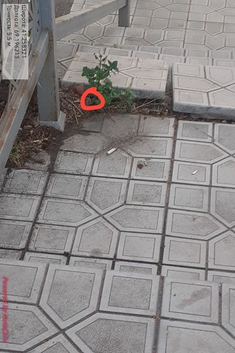 IMG 20240502 215621 513.jpg