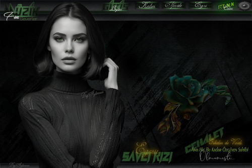 cehalet bayan tema.jpg