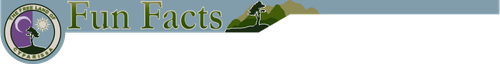Fun Facts Subtitle.png