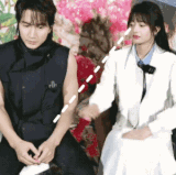 IMG 5356.gif