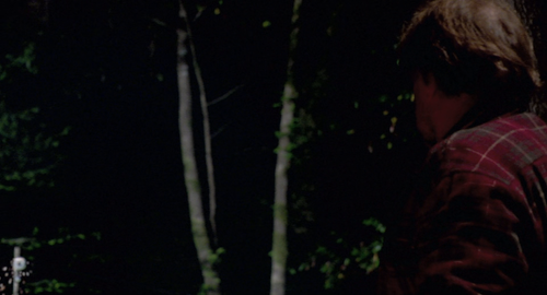 Bigfoot.The.Lost.Coast.Tapes.2012.1080p.BluRay.x265.Opus.5.1 LSt 00.25.36.png