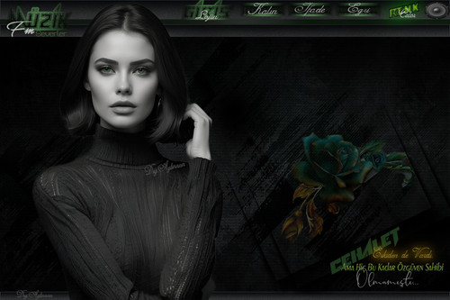 cehalet bayan tema.jpg