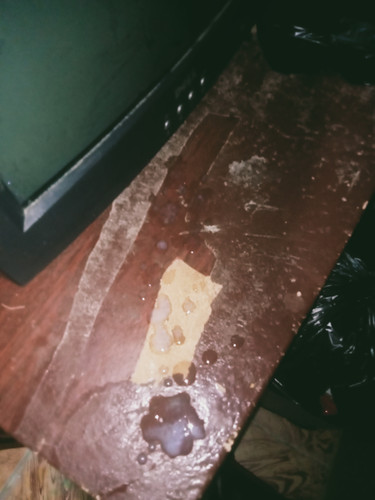 IMG20240430220652.jpg