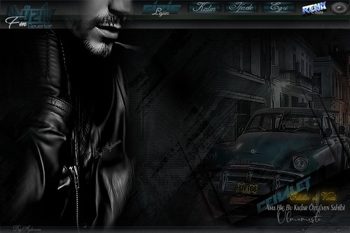 cehalet bay tema.jpg