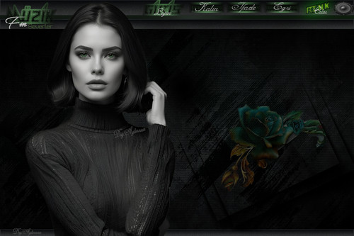 cehalet sade bayan tema.jpg