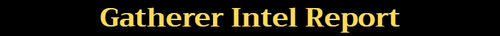 Gatherer intel report.png