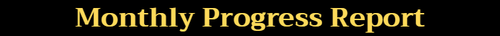 monthly progress report.png