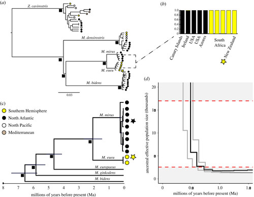 Deep genetic divergence between M. mirus and M. eueu.jpg