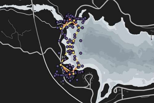 GNGR Barons 8 PAIN.jpg