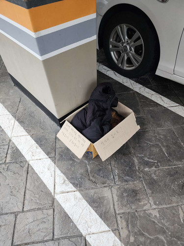 file.jpg