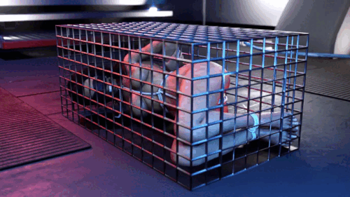65910e91 8399 43de 8674 fc152022a1e1.gif