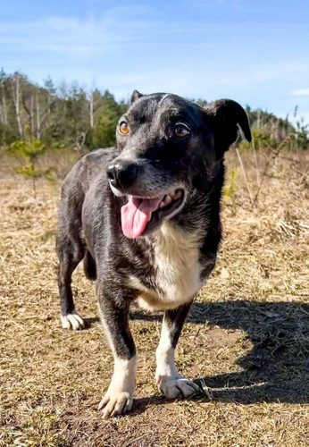 IMG 20240111 092847.jpg