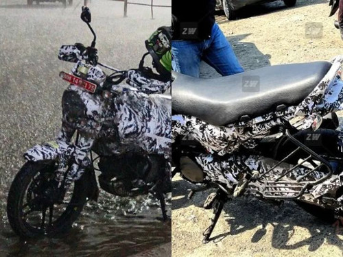 Untitled design 2024 05 03T152619.183.jpg