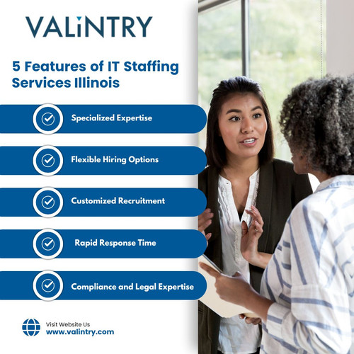 IT Staffing Services Illinois.jpg