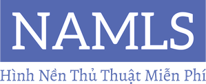 logo no background.png
