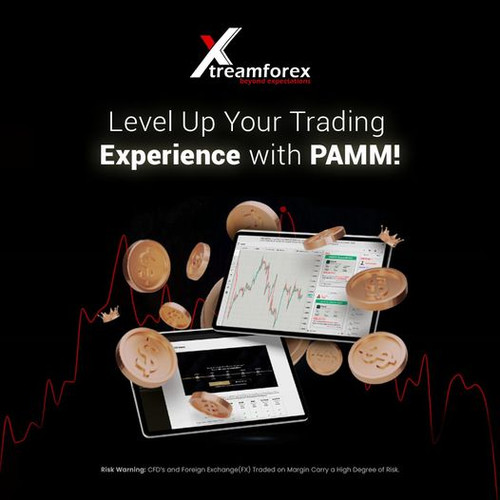 Level Up Your Trading Experience With PAMM !.jpg