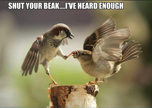 A BEAK SHUT.png