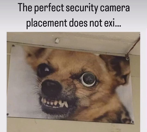 IMG 20240429 080510 940.jpg